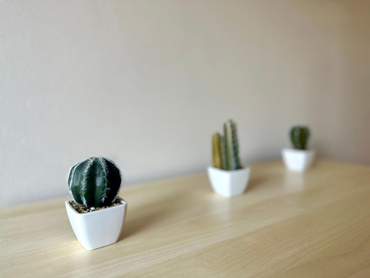 Mmrent Desert Room Gdansk Dış mekan fotoğraf